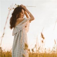 林枫苏慕白免费全书